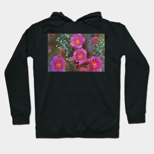 Beavertail Cactus Flowering Hoodie